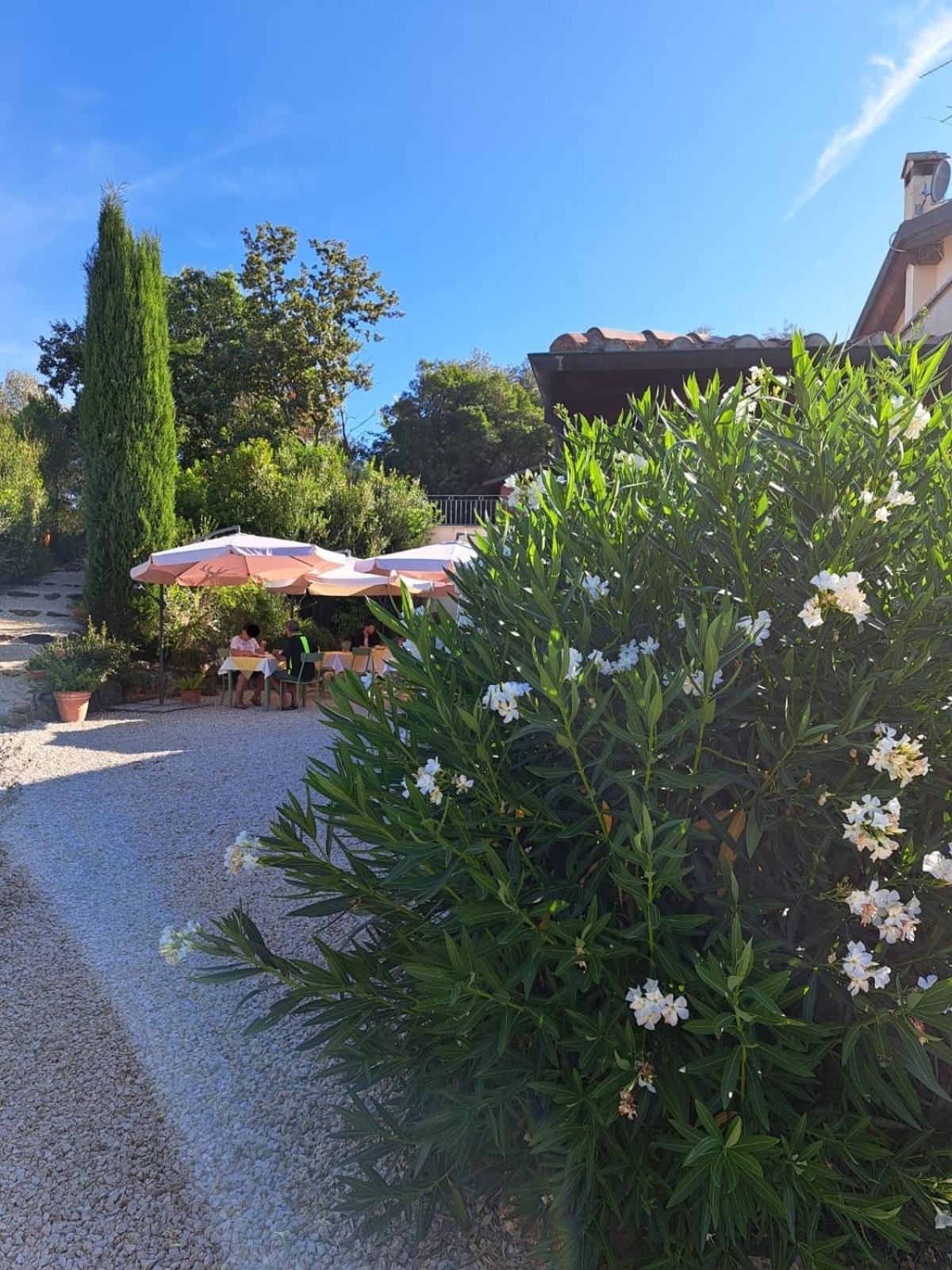 Casale Terre Rosse Bed & Breakfast Saturnia Exterior photo