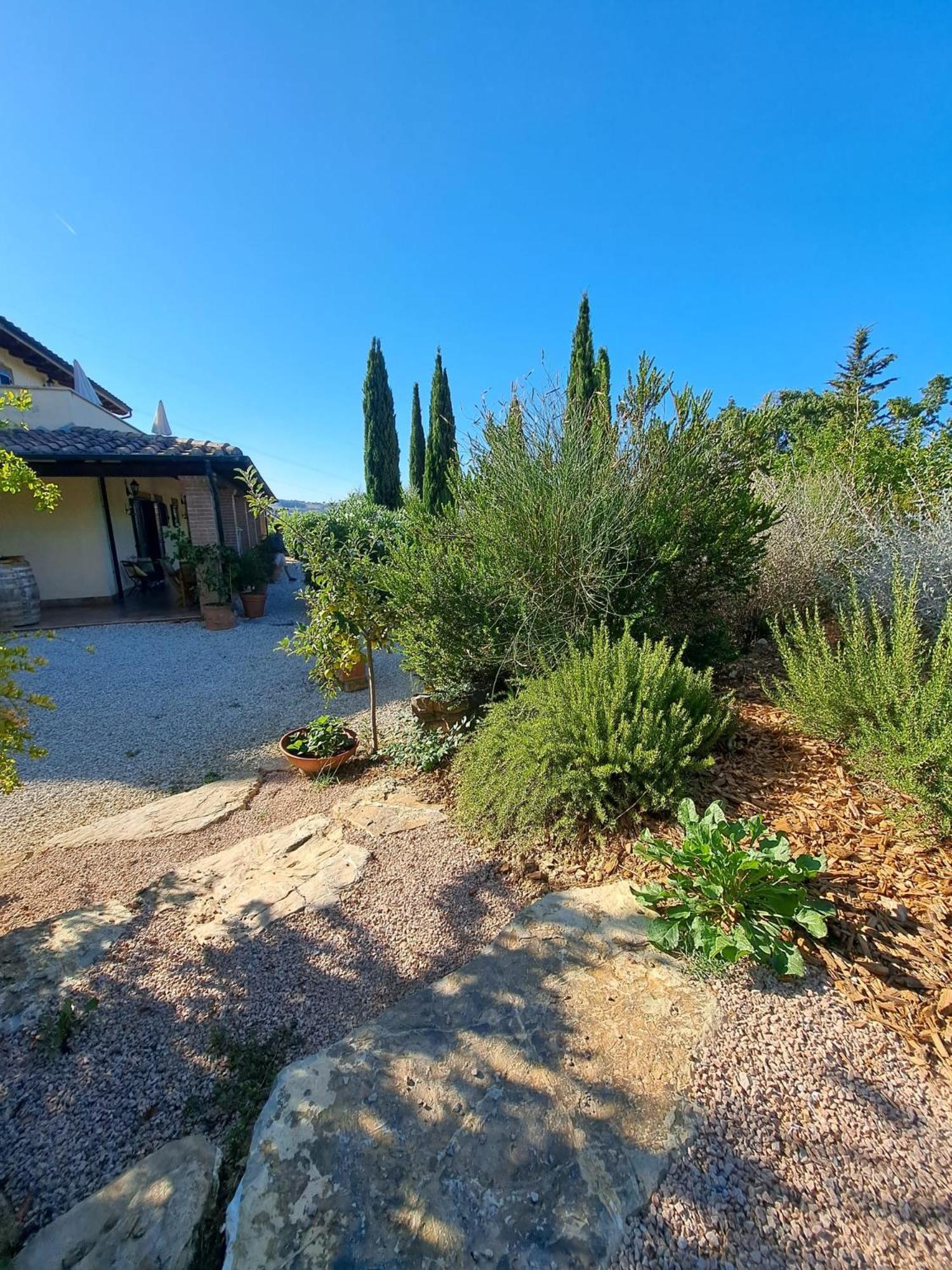 Casale Terre Rosse Bed & Breakfast Saturnia Exterior photo