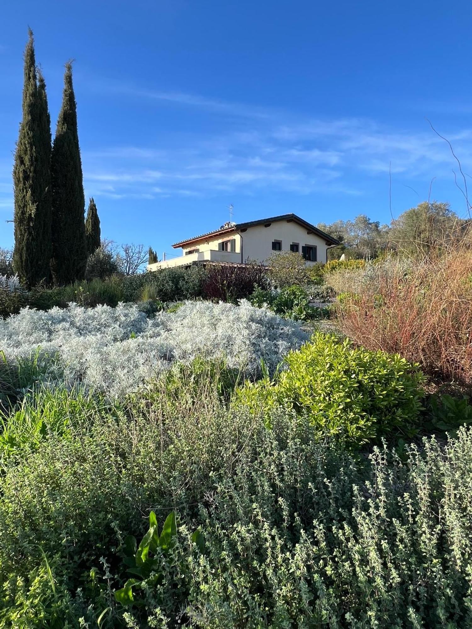 Casale Terre Rosse Bed & Breakfast Saturnia Exterior photo