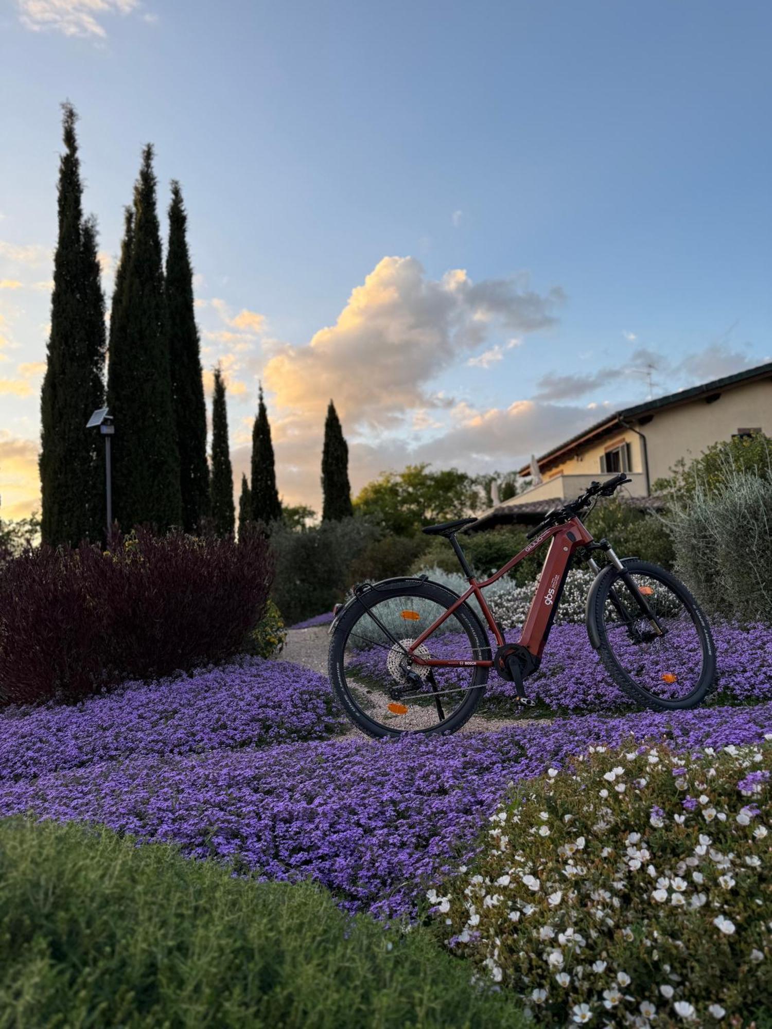 Casale Terre Rosse Bed & Breakfast Saturnia Exterior photo